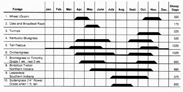 How Many Sheep Per Acre Of Pasture Sheep Stocking Rates Explained