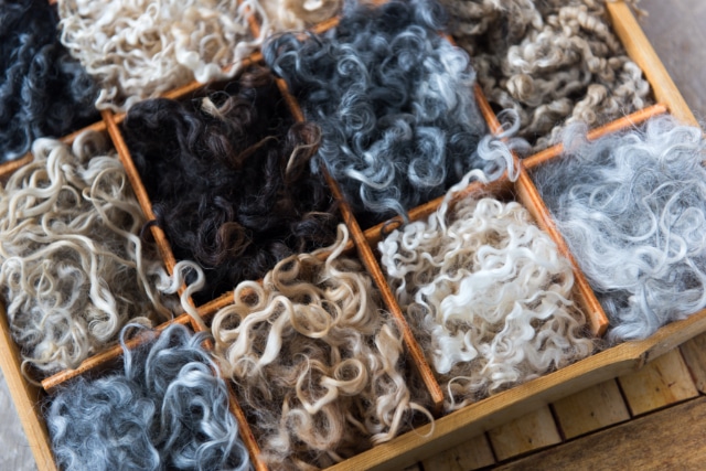 Different Types of Sheep Wool