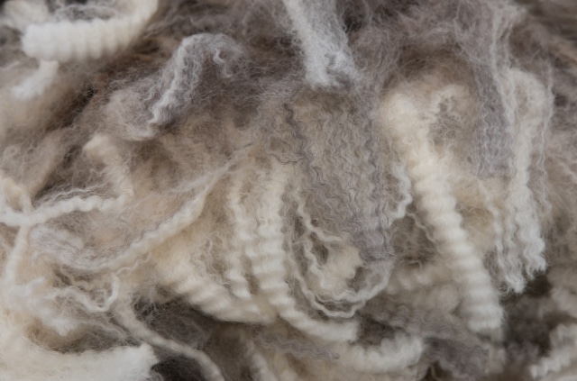 Evaluating Your Fleece During Skirting