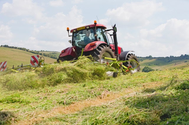 Making Sheep Hay - A Tractor with a Tedder Turns and Dries Freshly Cut Hay in the Field