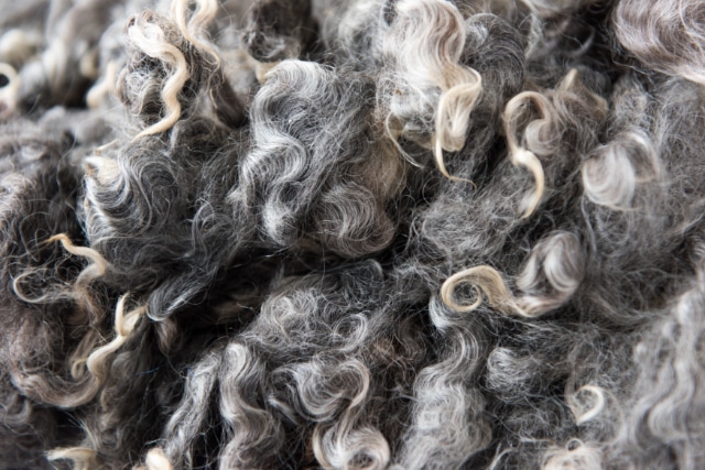 Wool Fiber Properties