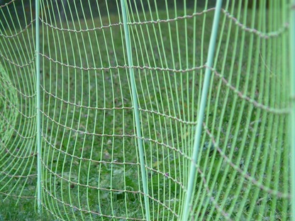 Plastic Mesh Sheep Fencing - Temporary Mesh Fencing for Sheep