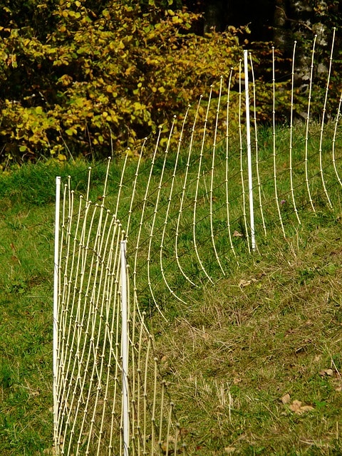 Temporary Mesh Fencing for Sheep