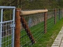 Welded Wire Sheep Fencing