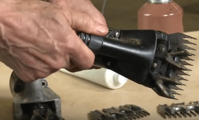 Adjusting the Tension on Electric Sheep Shears