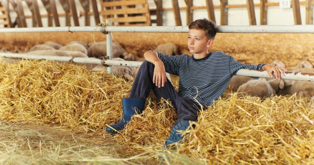 Boy Sitting Inside in a Pole Barn for Sheep