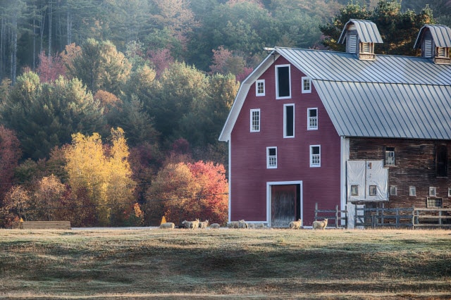 Red Barn for Sheep in New England