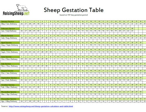 Printable Sheep Gestation Table