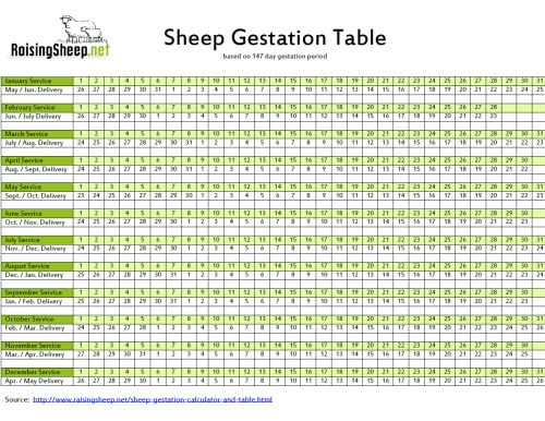 Sheep Gestation Calculator | Gestation Table for Sheep - RaisingSheep.net