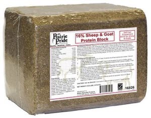 Prairie Pride Sheep Mineral Block