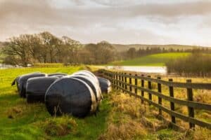 Haylage vs Silage Comparison (key differences explained)